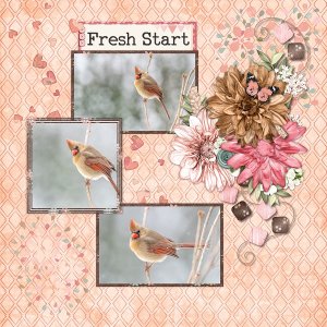 Fresh Start