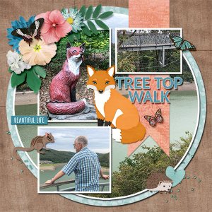 Tree top walk