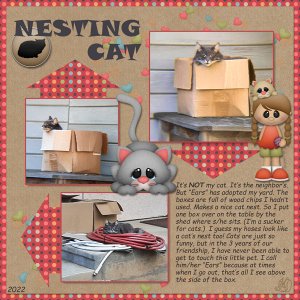 Nesting cat