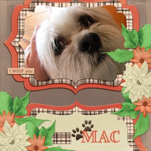 Mac