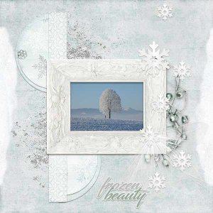 Frozen Beauty