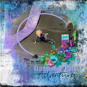 Trampoline Park