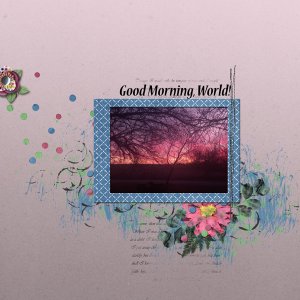 02-Daily-Download4