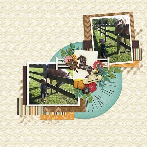 Feeding Horses