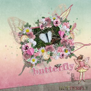 beautiful butterfly in my garden