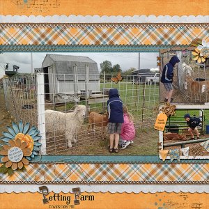 Petting Farm
