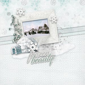 Frozen Beauty