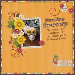 Feeling Groovy Feb 2023 Recipe challenge
