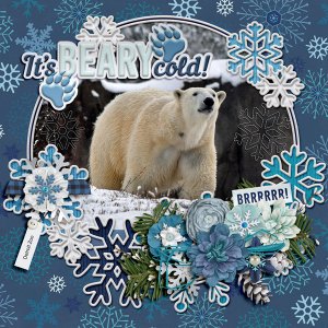beary cold