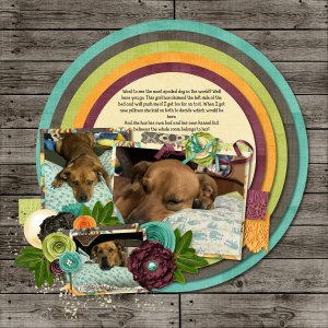 teddy1-23
