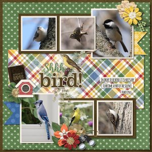 February 2023 Template Bundle - Bird Watcher