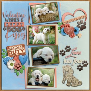 Puppies