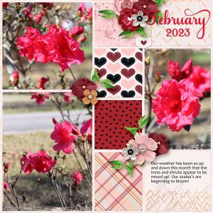 This is February
