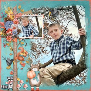 Allen in a tree