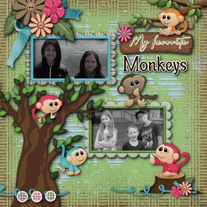 My Favorite Monkeys!
