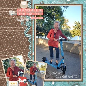 Template: The Big Picture vol 36  by Designs by Connie Prince