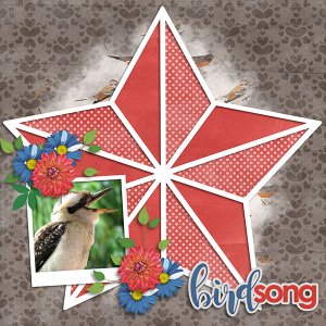 Bird Song