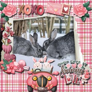 Rabbits in Love