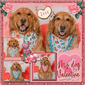 Valentine Doggies