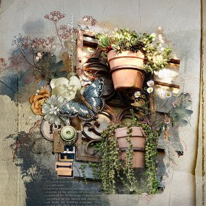 LIFE IN THE GARDEN