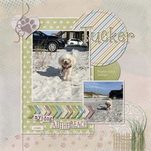 Tucker: Dauphin Island