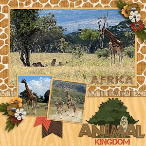 Animal Kingdom