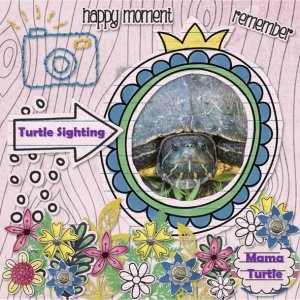 Turtle Mama