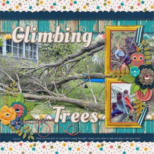 Climbing Trees