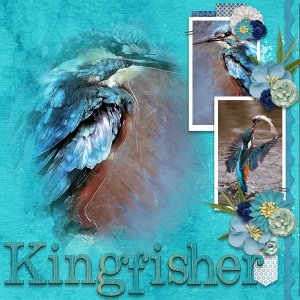 Kingfisher