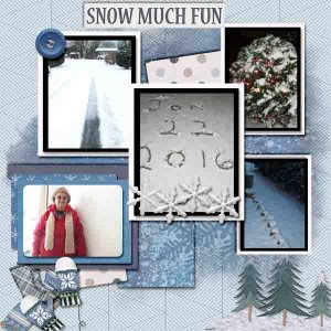 Fun in The Snow