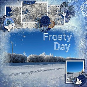 Frosty Day