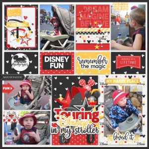 Touring Disney in my Stroller