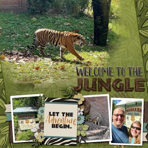 Welcome to the Jungle