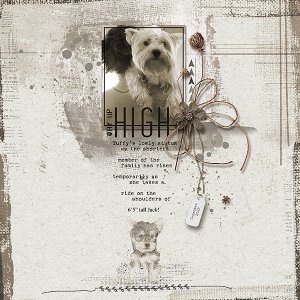 Way up High