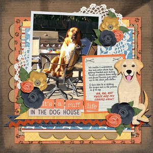Dogs---Do-the-Darndest---Duncan