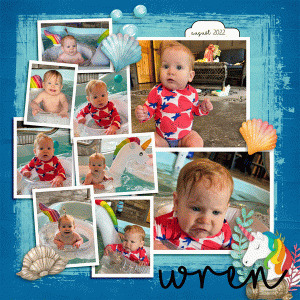Wren-On-Vaca-R