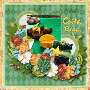 Costa Rican Treat