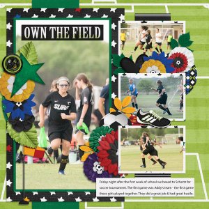 Own the Field