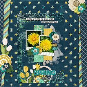 Spring Flowers