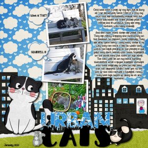 2022 Urban Cat