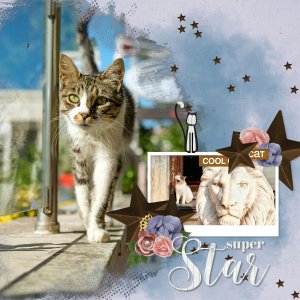 Pretty kitty