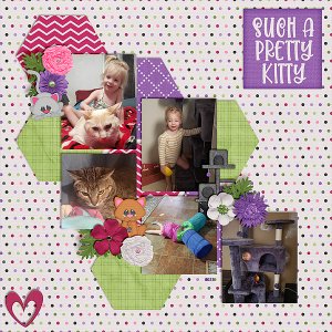 2023 Bailey Kitty