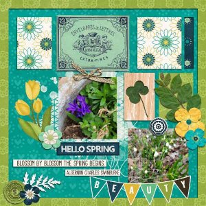 Spring Flowers