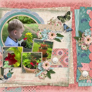 Heirloom Garden