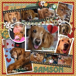 In Memory of Samson