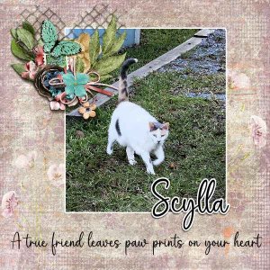 Friendship Font