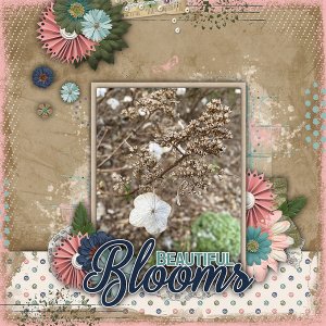 Beautiful Blooms