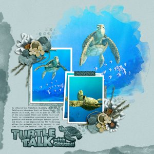 Turtle Talk
