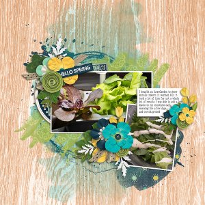 home-grown-lettuce