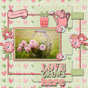 Love Grow Here